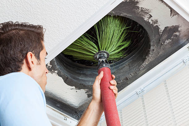 Best HVAC System Cleaning  in Shenandoah Heights, PA